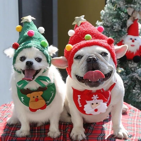 Pet Apparel Christmas Hat & Accessories for Dogs