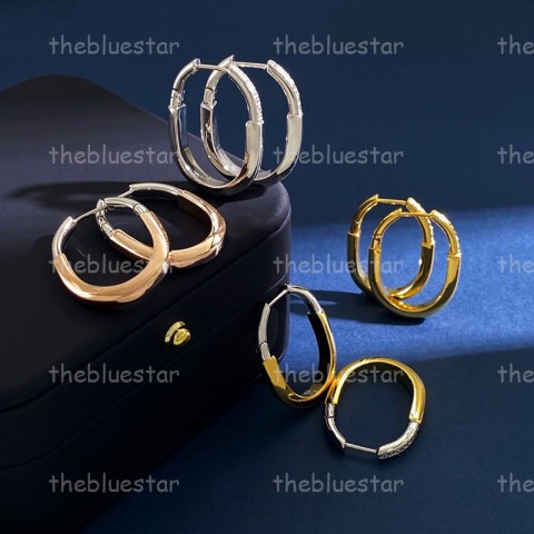 CYD2412021F5 Unisex 18K Gold Plated Hoop & Huggie Earrings for Party Wear