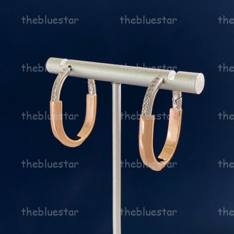 CYD2412021F5 Unisex 18K Gold Plated Hoop & Huggie Earrings for Party Wear