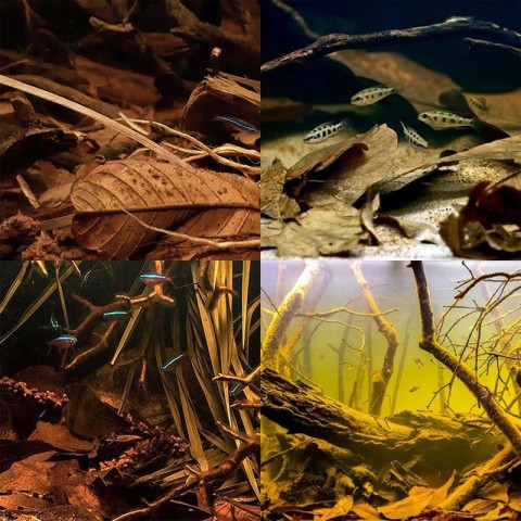 Aquarium Alder Cones Natural Plants for Fish Tanks pH Lowerer & Decor