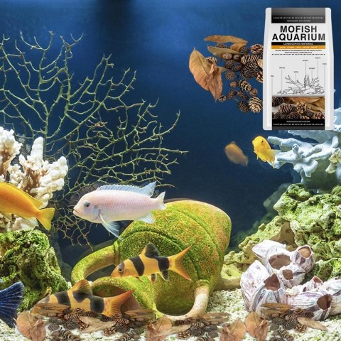 Aquarium Alder Cones Natural Plants for Fish Tanks pH Lowerer & Decor