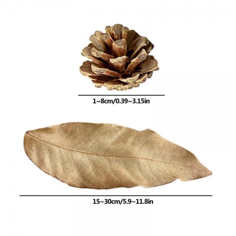 Aquarium Alder Cones Natural Plants for Fish Tanks pH Lowerer & Decor