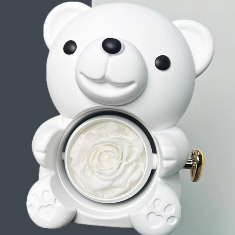Eternal Gifts for Women: Teddy Bear with Necklace and Rotating Rose Jewelry Box