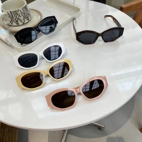 Luxury Women's Triumphal Sunglasses - Versatile Designs for Daily Wear