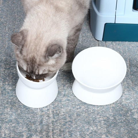 Oblique High-Foot Cat Bowl with Anti-Tip Design for Pet Protection