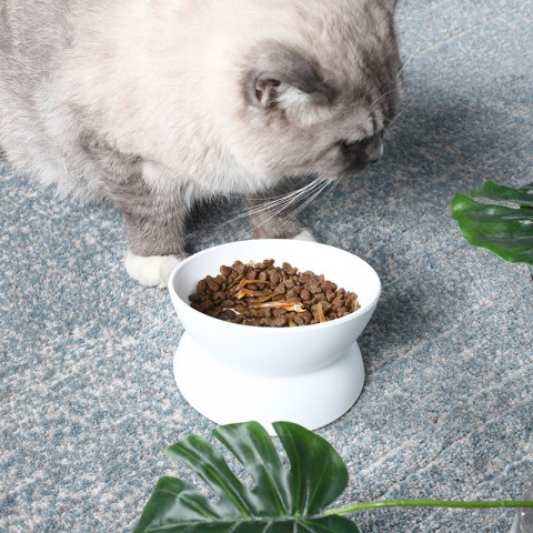 Oblique High-Foot Cat Bowl with Anti-Tip Design for Pet Protection