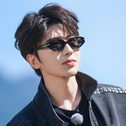 Desginer Gm Gentle Monster Cat Eye Sunglasses for Women - Slimming & Trendy