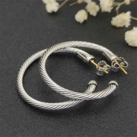 Luxury Red Charm Hoop Earrings for Women with Animal Pattern