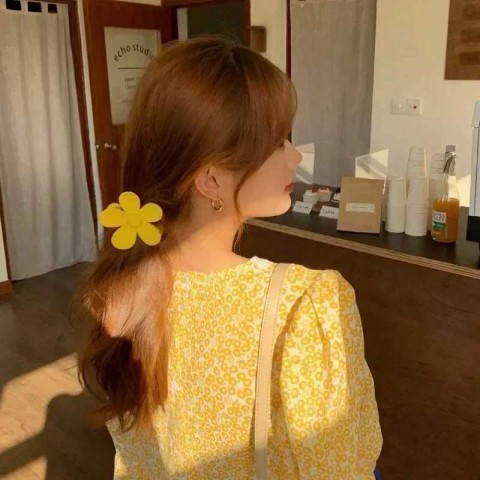 Large Floral Matte Hair Clips for Girls - Fashionable Barrettes X241030