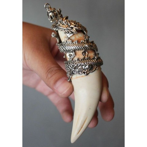 Chinese Antique Silver Dragon Talisman Pendant from Boar's Tooth