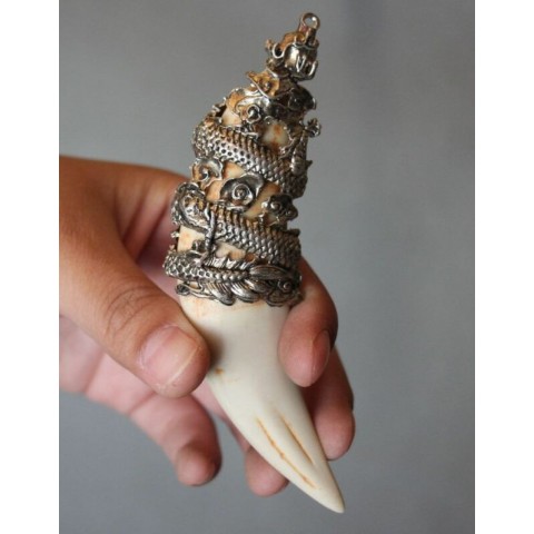 Chinese Antique Silver Dragon Talisman Pendant from Boar's Tooth